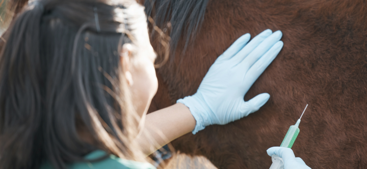 Screenshot 2026-04-01 142351