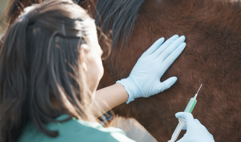 Screenshot 2026-04-01 142351